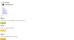 Desktop Screenshot of calibercontrols.com