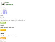 Tablet Screenshot of calibercontrols.com